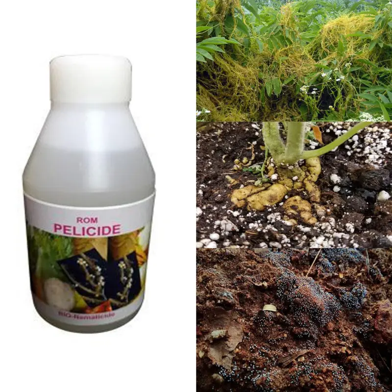ROM 3 liter Pelicide Bio Pesticide | Used to Control Plant Parasitic Nematodes in Soil